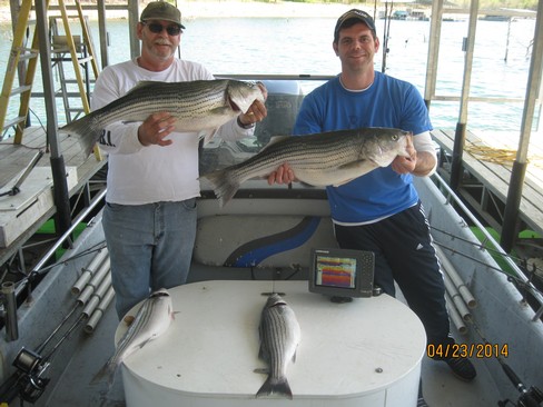 Nice Striped Bass